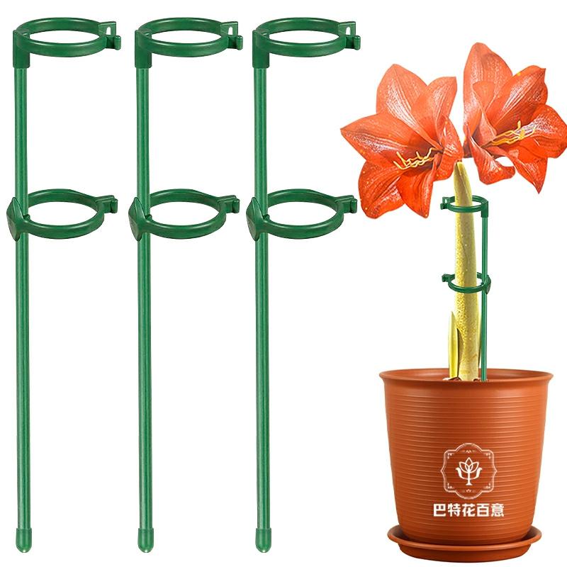 Havebøjle |   Amaryllis Støtte Til At Forhindre Væltning, Planteholder, Haveudstyr Til Udendørs Have, Klatre-Rosen Og Hortensia Støtte. Havebøjle Havebøjle